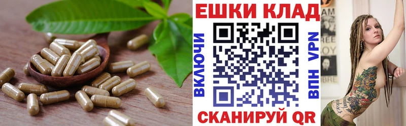 Экстази VHQ  где купить   mega как зайти  Судогда 