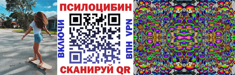 цены наркотик  Судогда  Псилоцибиновые грибы Cubensis 