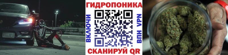 Канабис OG Kush  Судогда 